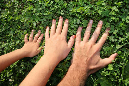 family hands 2の写真素材