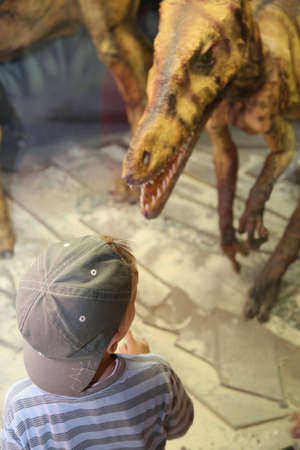 boy and dinosaur in museumの写真素材
