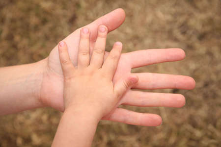 two hands against the background of yellow grassの写真素材