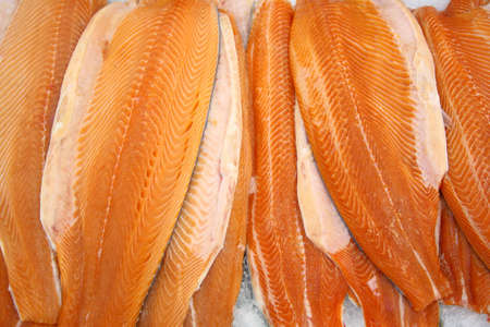 red fishの写真素材