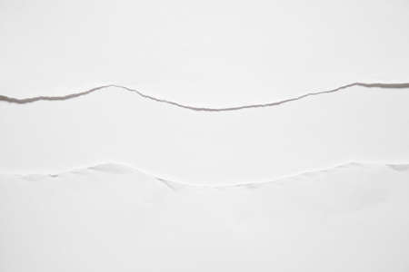 the torn sheet of paper against the white backgroundの写真素材