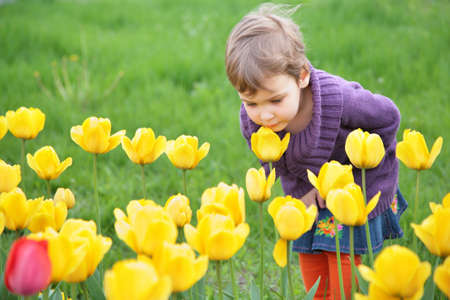 girl smells tulipの写真素材
