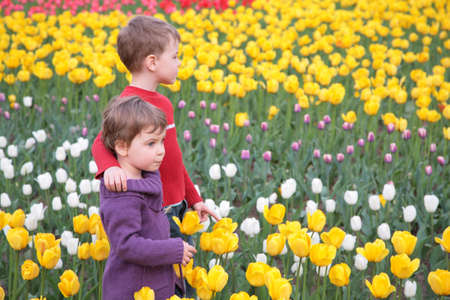 children on field of tulipsの写真素材