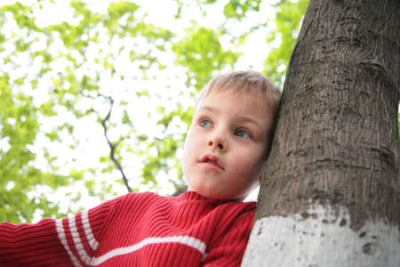 boy and treeの写真素材