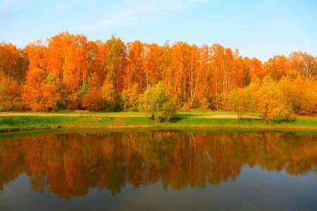 autumn in city parkの写真素材