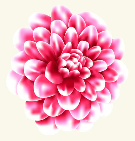 flower vectorのイラスト素材