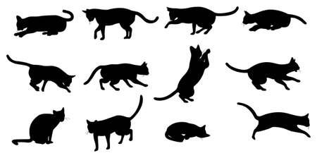 cat silhouetteのイラスト素材