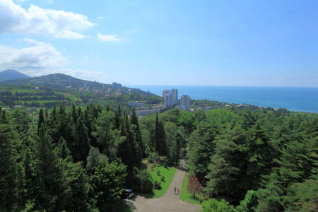 Landscape in vicinities of Sochi