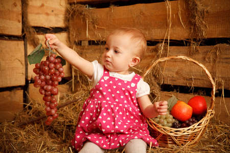 Little girl is sitting on pile of straw with grapes in their hands. Behing fruit basket.の写真素材