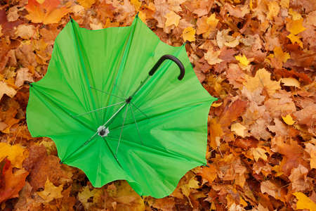 Green opened umbrella lies against yellow autumn leaves. Horizontal format.