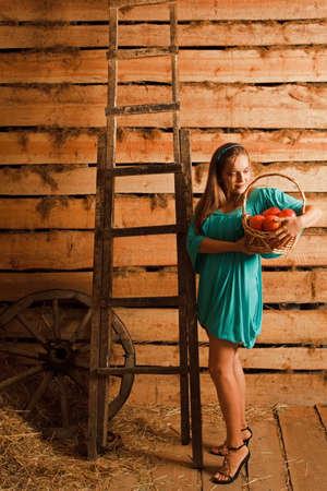 woman in a turquoise dress holding a basket of apples in their hands. looks at the apples. near the wheel and ladder. Rural motiveの写真素材