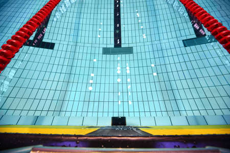 Bottom of swimming pool of paved  blue tile