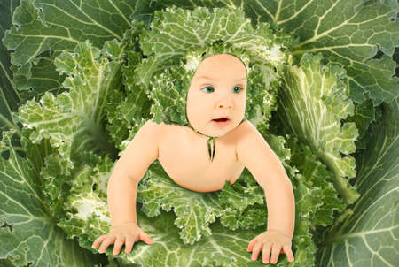 baby in blown green leaves streaked with white ornamental cabbages collageの写真素材