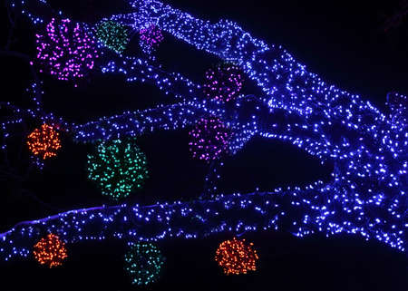 sloppy branches of tree with many decorative colorful lights at night