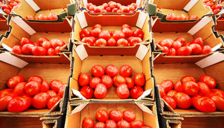 red tomatoes in boxes in large store, rows of boxes with tomatoesの写真素材