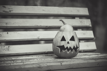 halloween. black and white.の写真素材