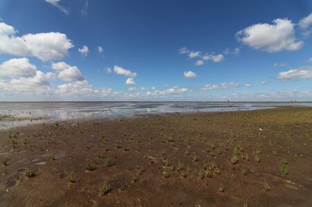 Open sky and wide horizon at tidelands in Northern Germanyの写真素材