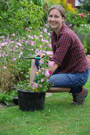 Woman works in gardenの写真素材