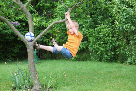 A young boy climbs a treeの写真素材