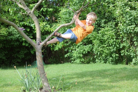 A young boy climbs a treeの写真素材