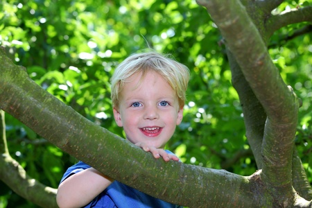 Happy young boy sitting in a treeの写真素材
