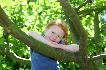 Happy young girl sitting in a treeの写真素材