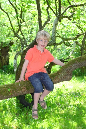 Happy young boy sitting on a branch of a treeの写真素材