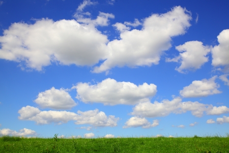 Meadow with green grass and blue sky with clouds の写真素材