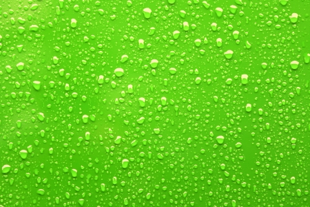 Raindrops on a green backgroundの写真素材