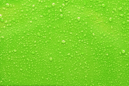 Raindrops on a green backgroundの写真素材
