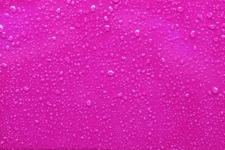 Raindrops on a pink backgroundの写真素材