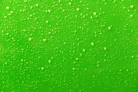 Raindrops on a green backgroundの写真素材