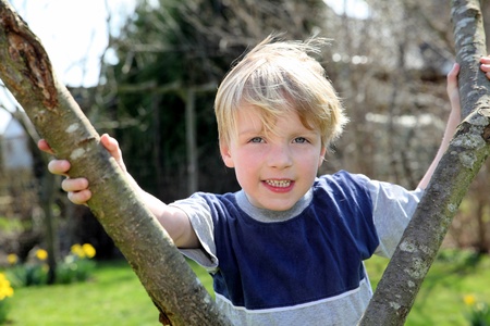 Happy young boy in the garden behind a treeの写真素材