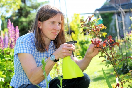 Young woman in garden sprays rosesの写真素材