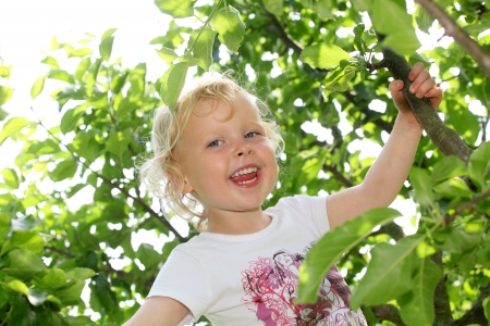 Smiling child climbing a tree in the gardenの写真素材