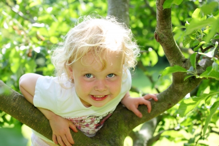 Smiling child climbing a tree in the gardenの写真素材