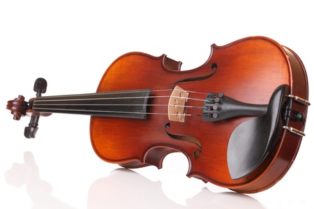 Close up of a violin on white background の写真素材