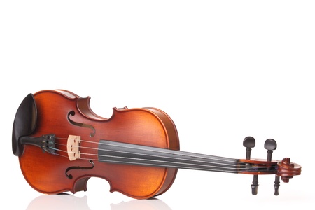 Close up of a violin on white background の写真素材
