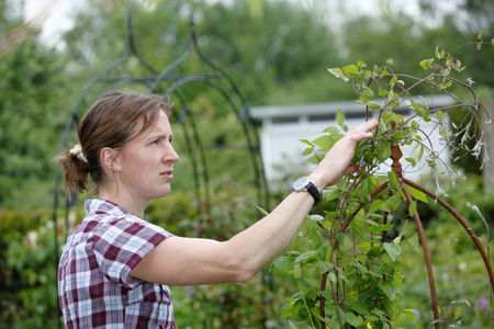 Young woman working outdoors in the gardenの写真素材