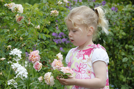 Adorable young girl enjoys some roses in the gardenの写真素材
