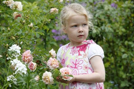 Adorable young girl enjoys some roses in the gardenの写真素材