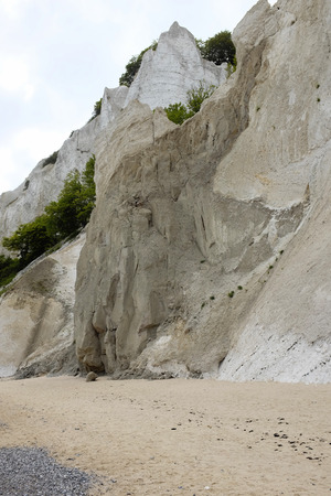 Chalk rocks of mons klint in denmarkの写真素材