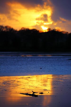 A beautiful sunset on the lakeの写真素材