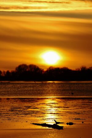 A beautiful sunset on the lakeの写真素材