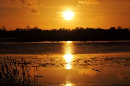 A beautiful sunset on the lake with reed in foregroundの写真素材