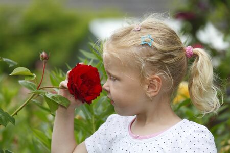 Adorable young girl enjoys some roses in the gardenの写真素材
