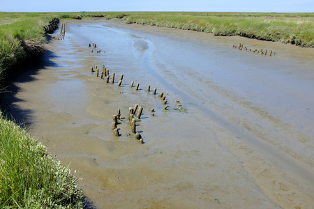 Empty tidal creek at the north sea in Germanyの写真素材