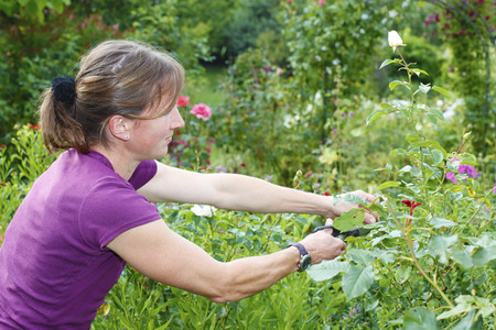 Young woman works in the garden