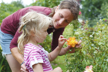 Mother an daughter enjoy som flowers in the gardenの写真素材