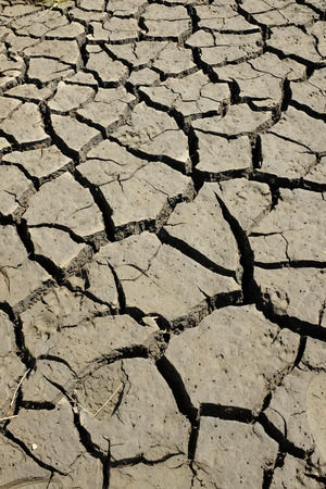 Close up of cracked dry soilの写真素材